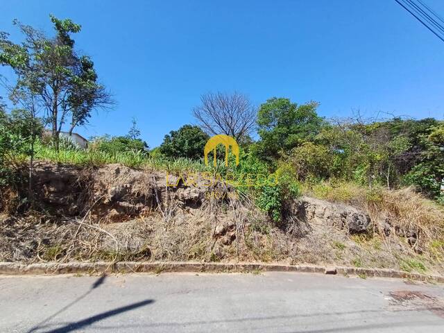 #755 - Lote para Venda em Sarzedo - MG - 3