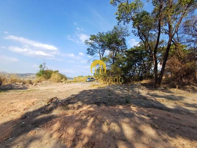 Lote para Venda em Sarzedo - 4