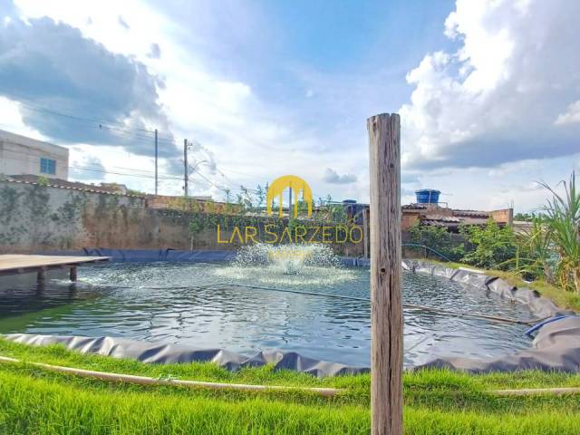 #554 - Sítio para Venda em Mário Campos - MG - 3