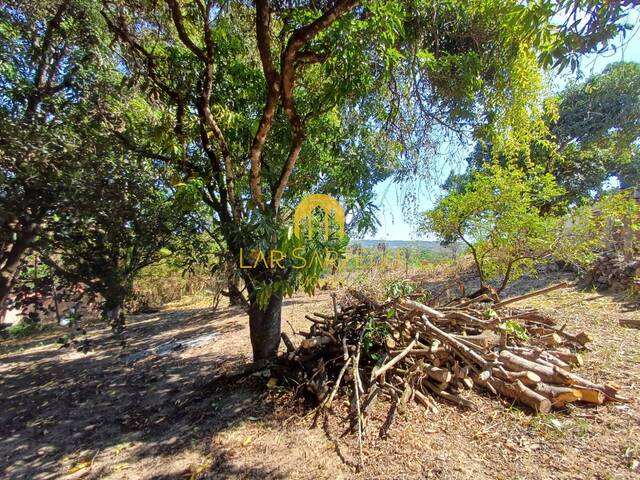 Lote para Venda em Sarzedo - 5